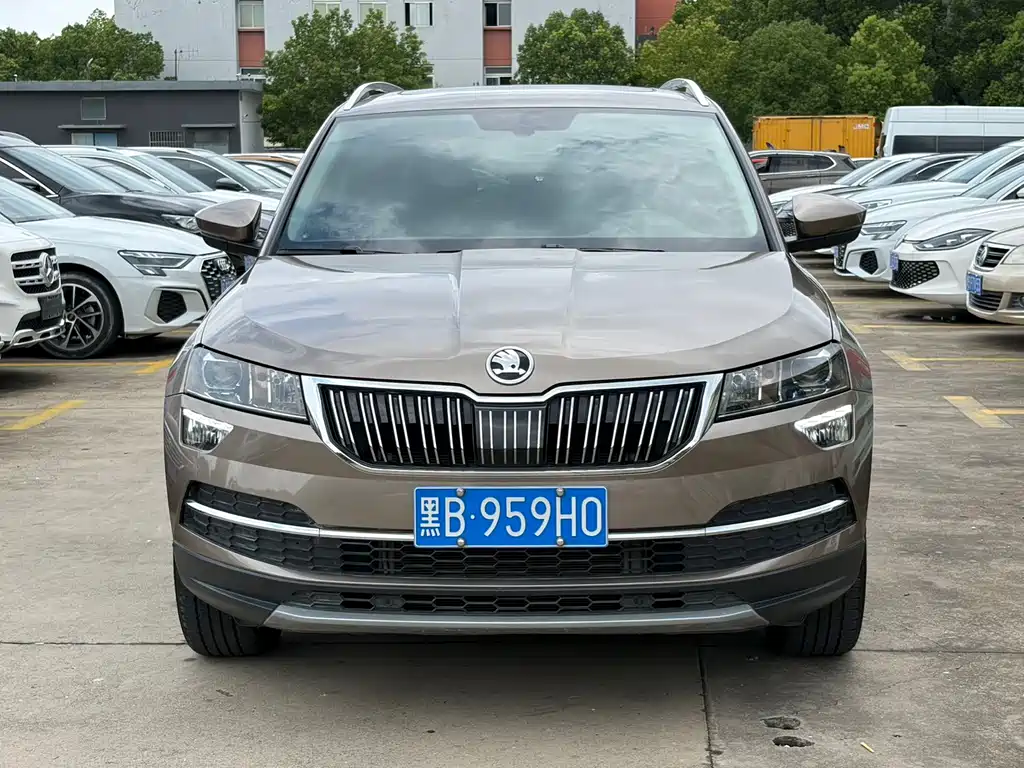 Skoda Karoq 2020 — фото 2