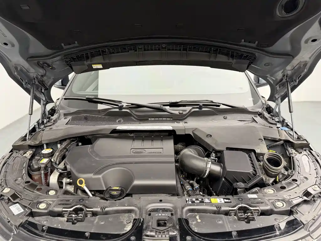 Land Rover Evoque 2020 — фото 14