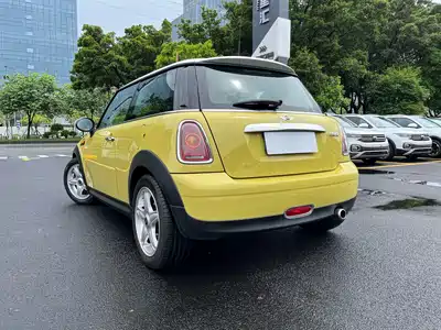 MINI MINI 2010