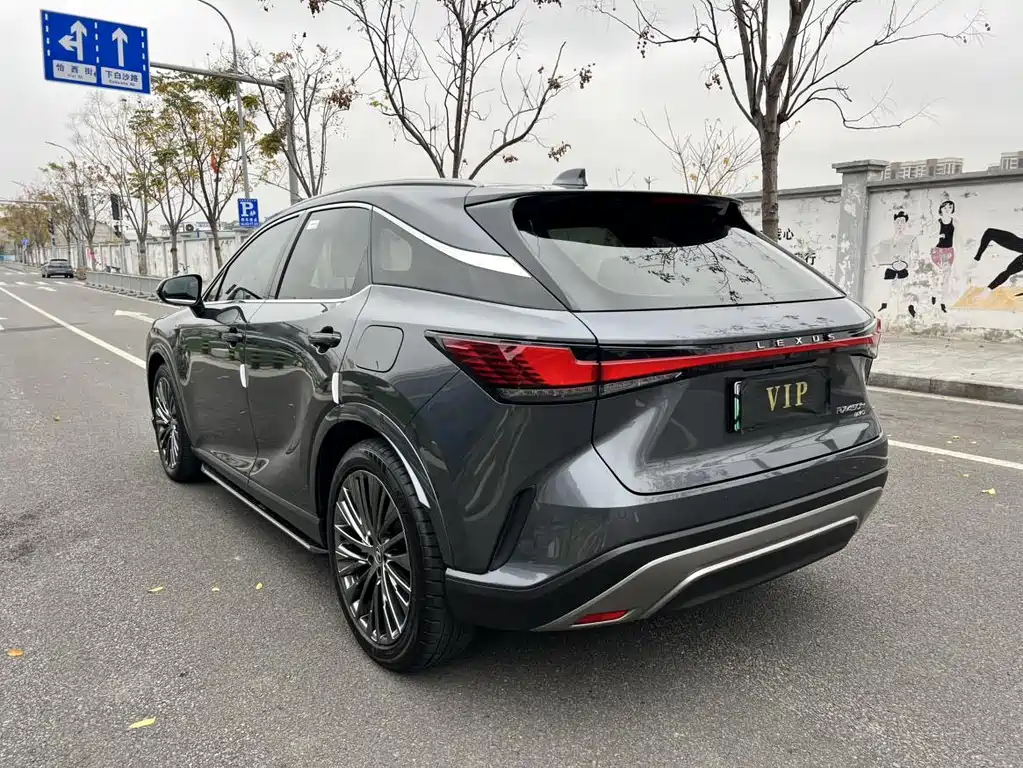 Lexus RX New Energy 2023 — фото 16