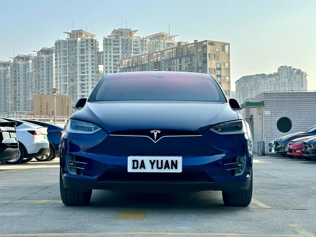 Tesla Model X 2016 — фото 2