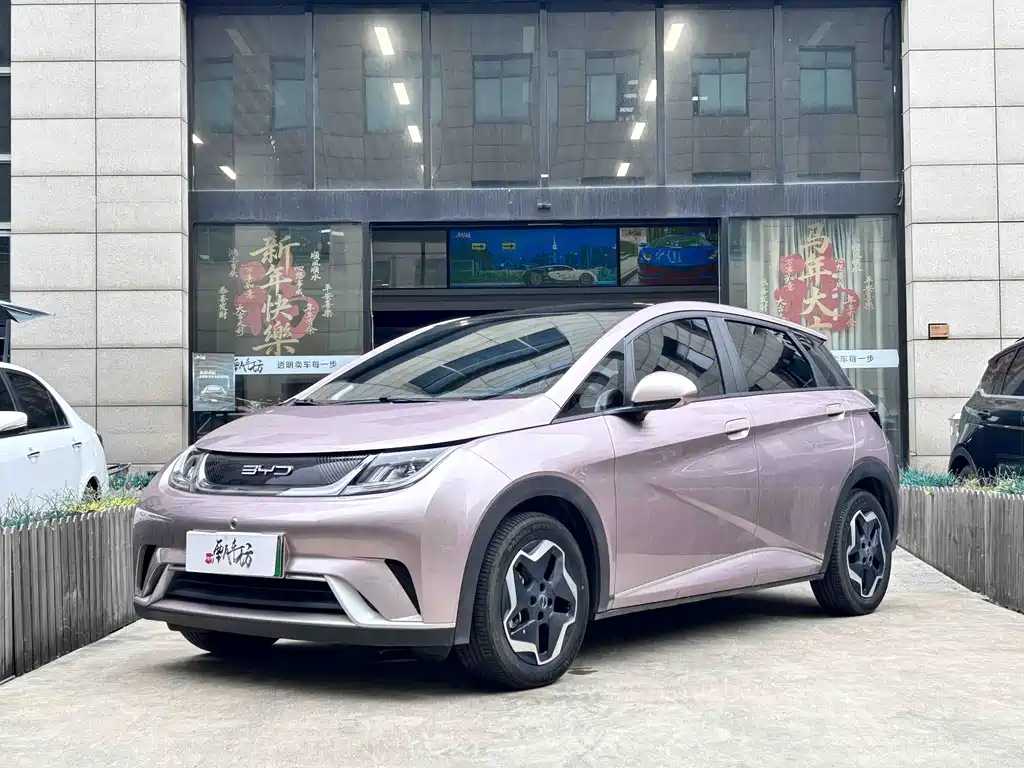 BYD Dolphin 2022