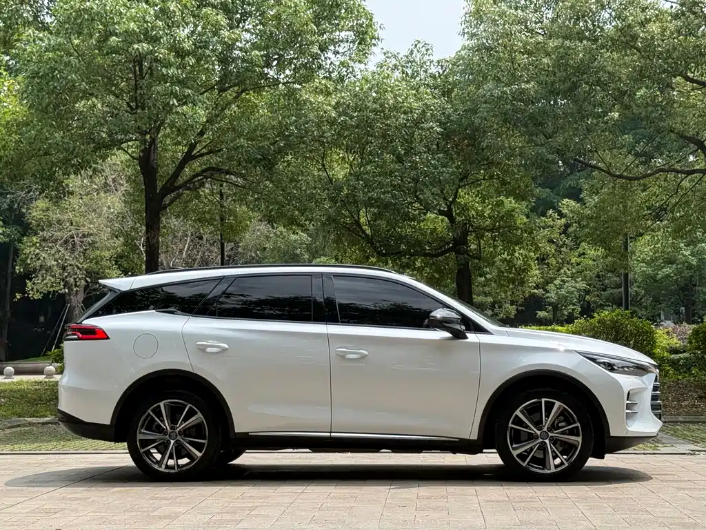 BYD Tang New Energy 2020 — фото 18