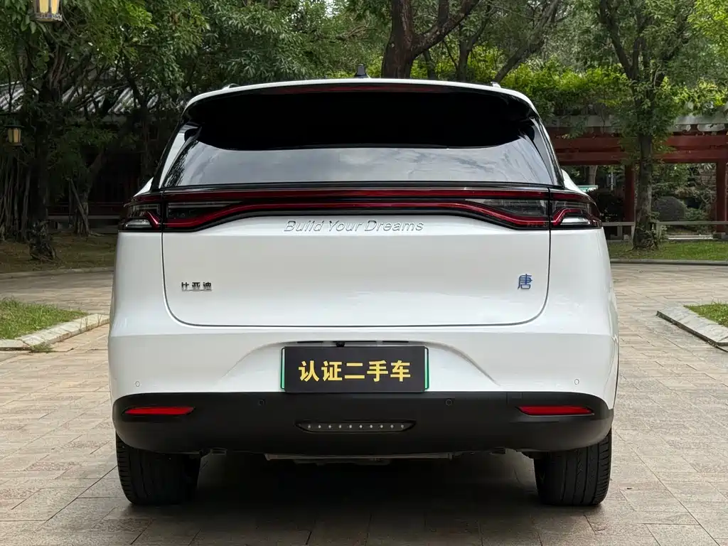 BYD Tang New Energy 2020 — фото 16