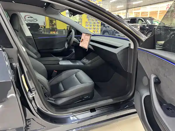 Tesla Model 3 2025