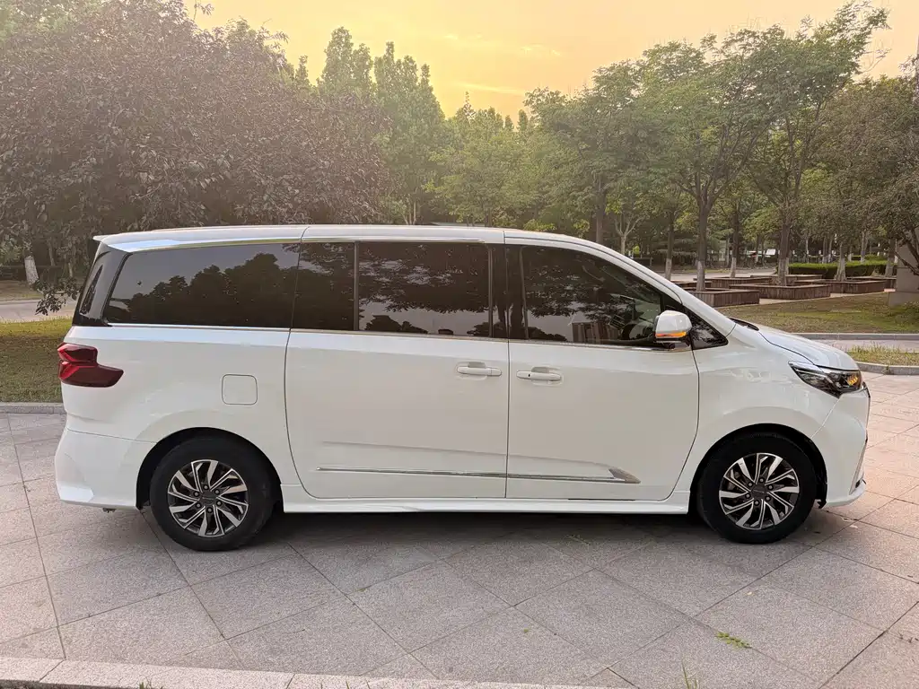Maxus G20 2019