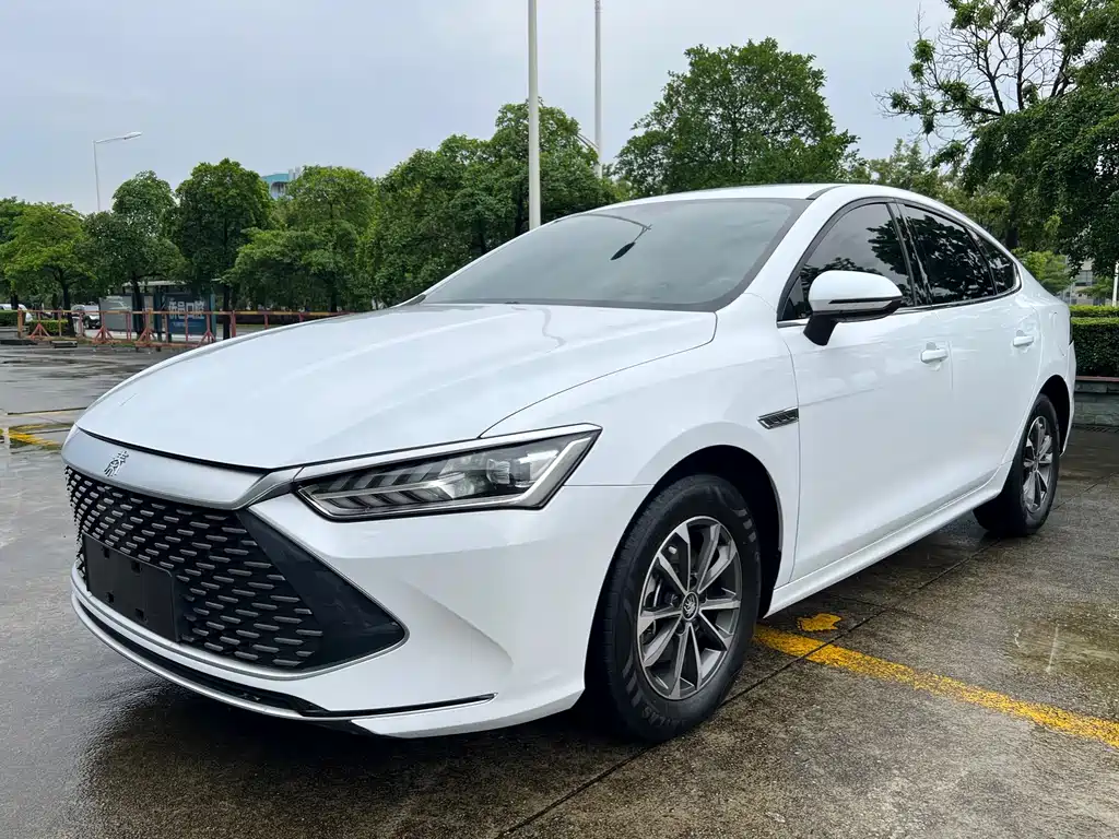 BYD Qin PLUS 2024 — фото 1