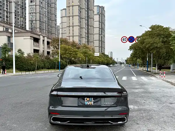 Lincoln Z 2022