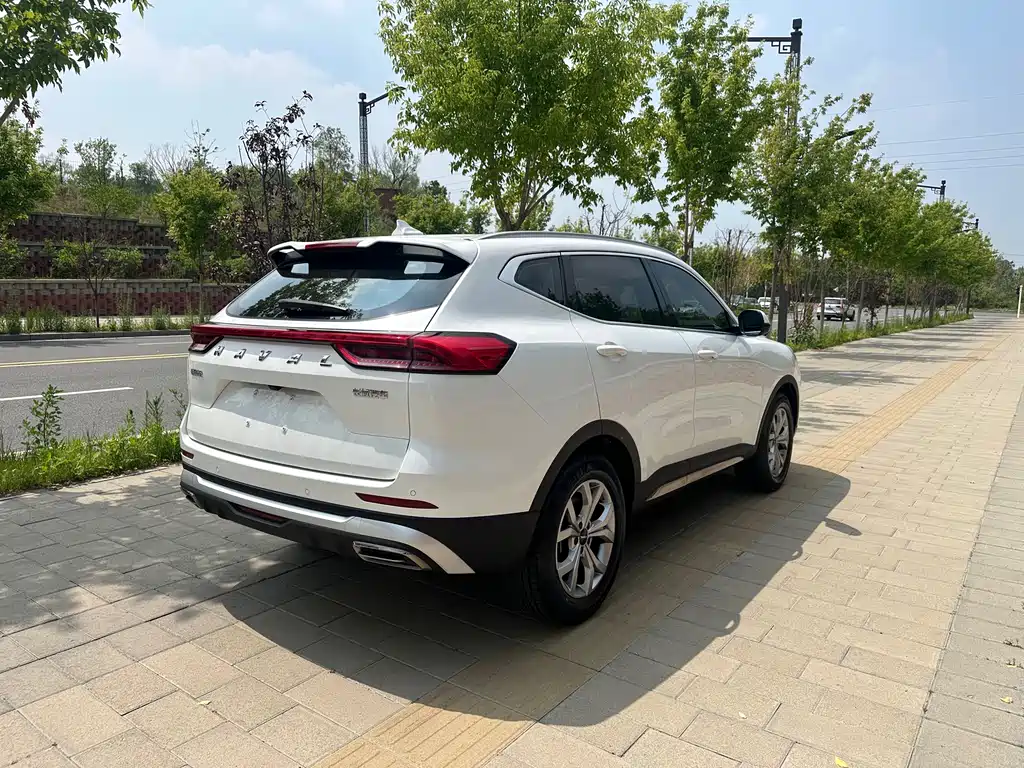 Haval H6 2022 — фото 9