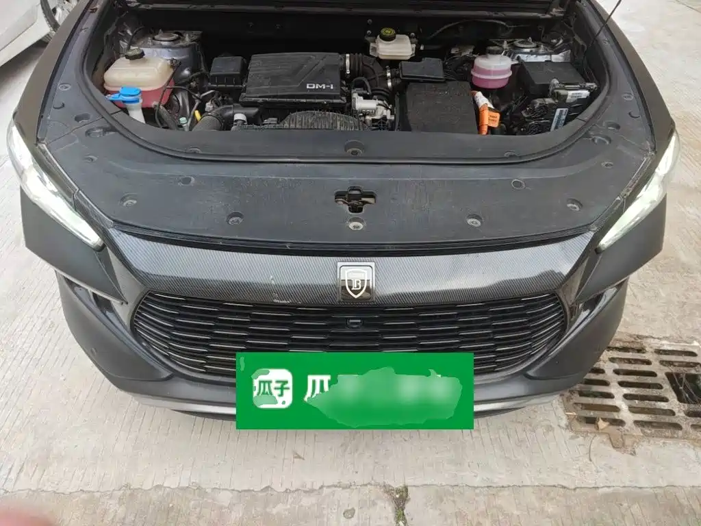 BYD Pro New Energy 2023 — фото 11