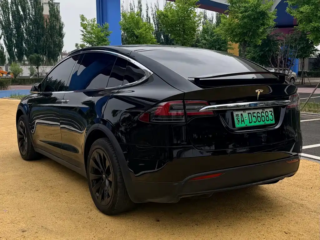 Tesla Model X 2019 — фото 6
