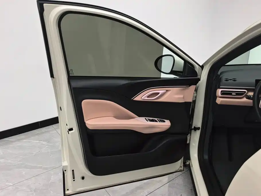 BYD Seagull 2024