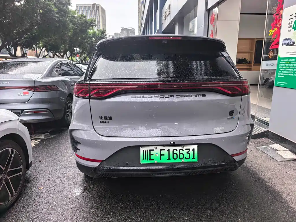 BYD Tang New Energy 2025 — фото 9