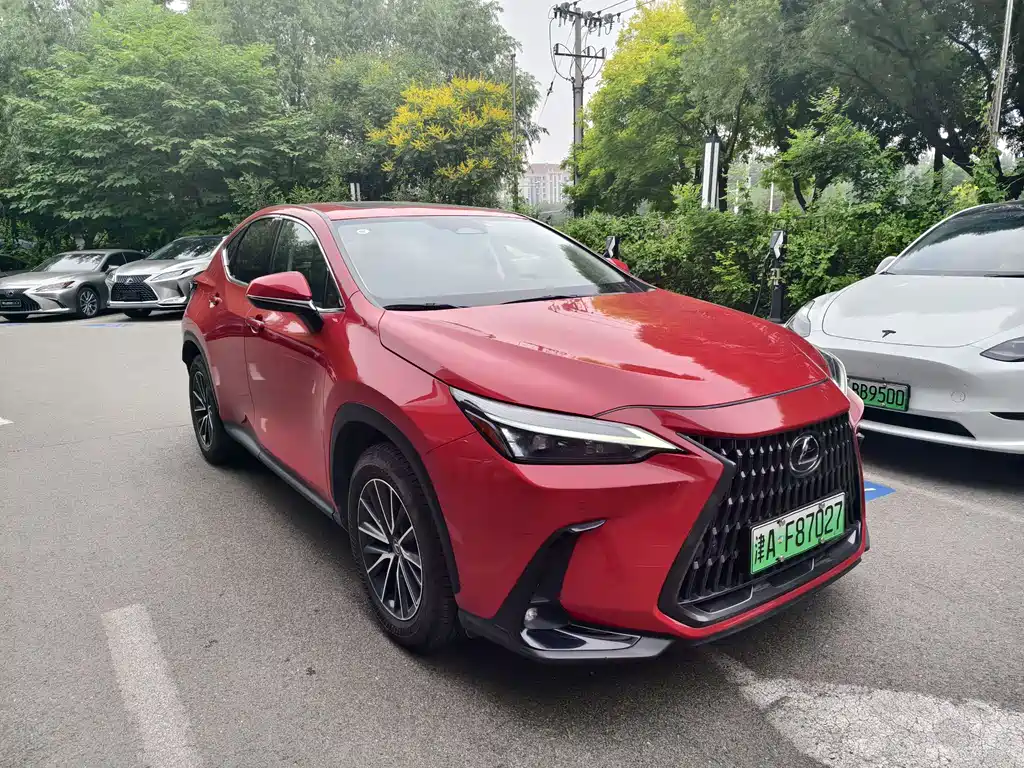 Lexus NX New Energy 2022 — фото 2