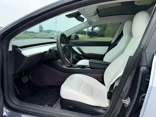 Tesla Model 3 2020