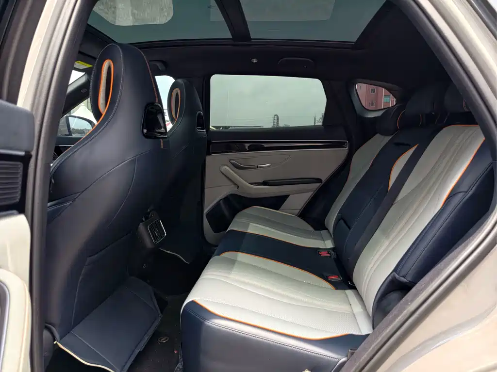 BYD PLUS New Energy 2023 — фото 14