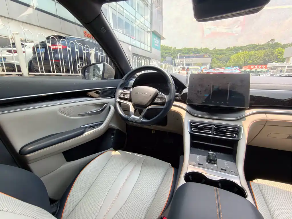 BYD PLUS New Energy 2023 — фото 10