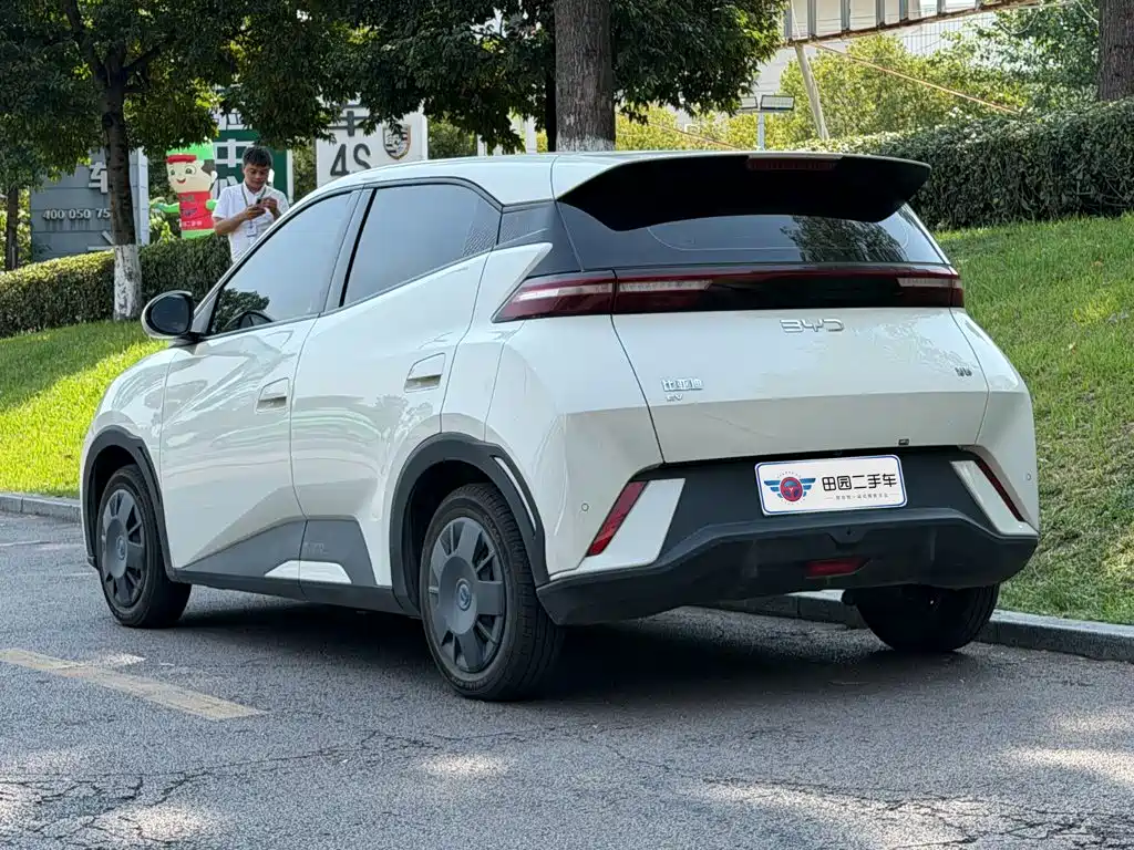 BYD Seagull 2024