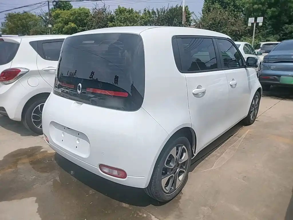 Ora White Cat 2021