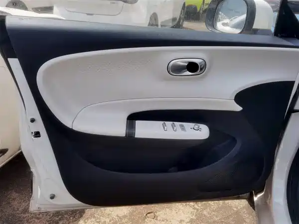 Dongfeng Nano 01 2024