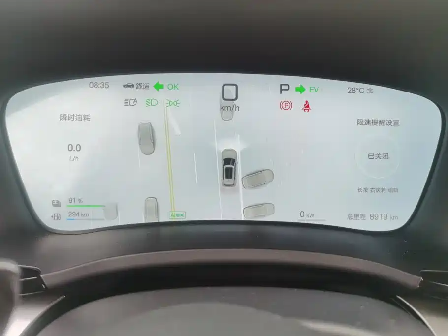 BYD Song PLUS New Energy 2025 — фото 14
