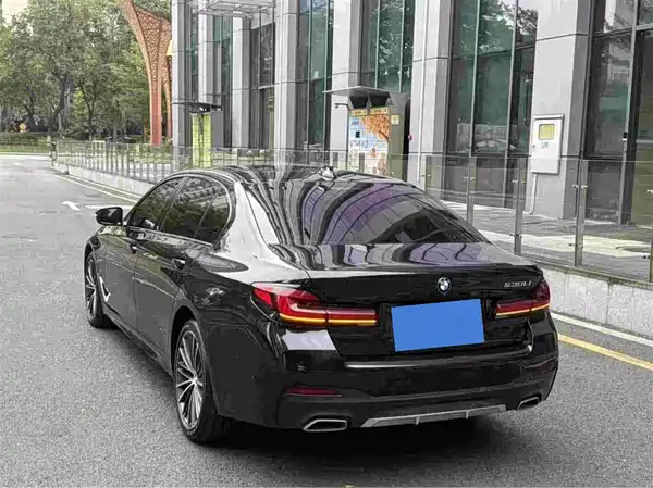 BMW 5 Series 2021