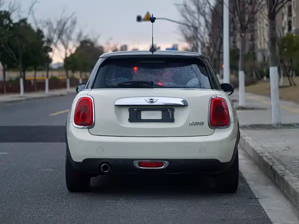 MINI MINI 2018