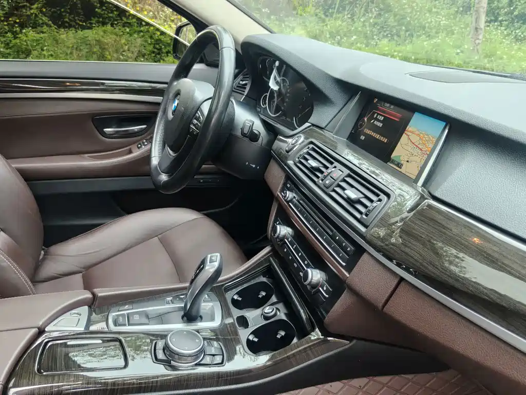 BMW 5 Series 2016 — фото 13