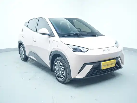 BYD Seagull 2024
