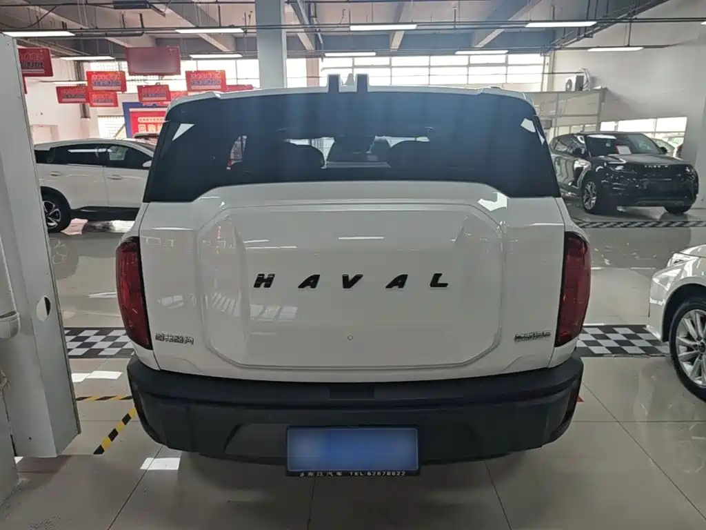 Haval Cool Dog 2023 — фото 6