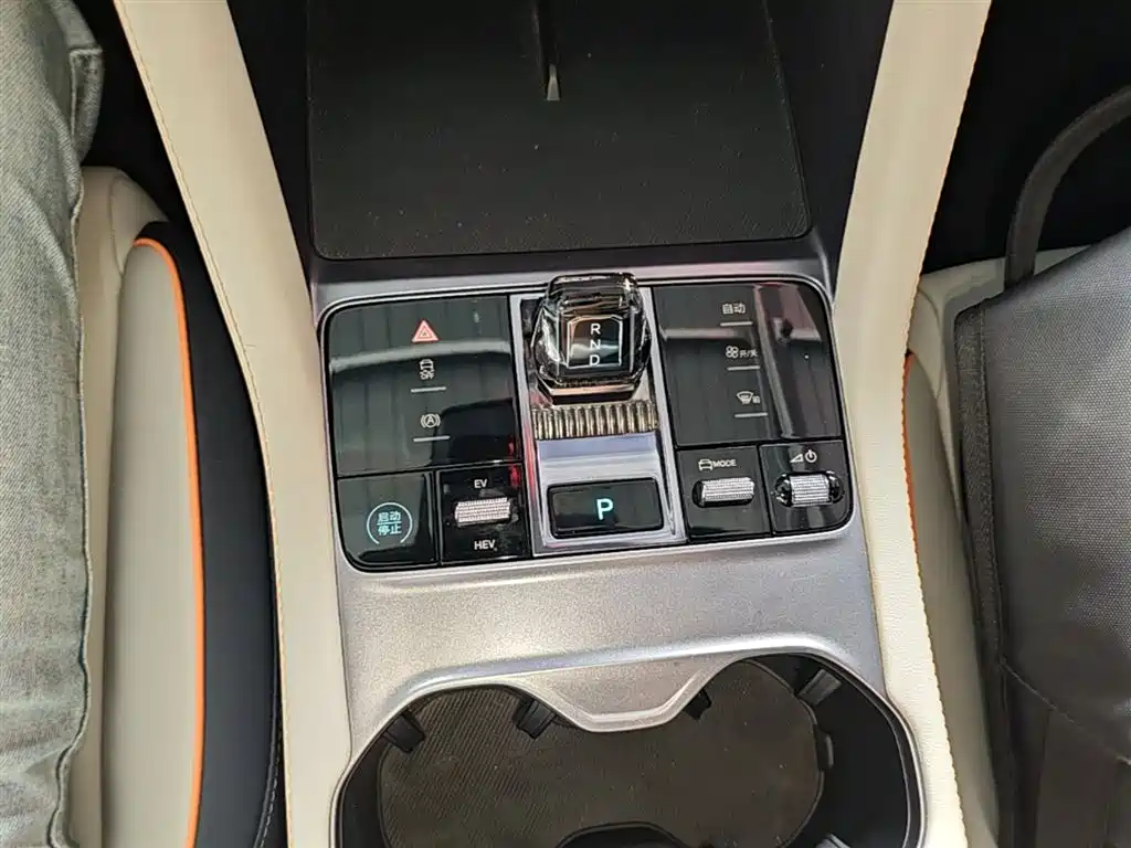 BYD PLUS New Energy 2024 — фото 14