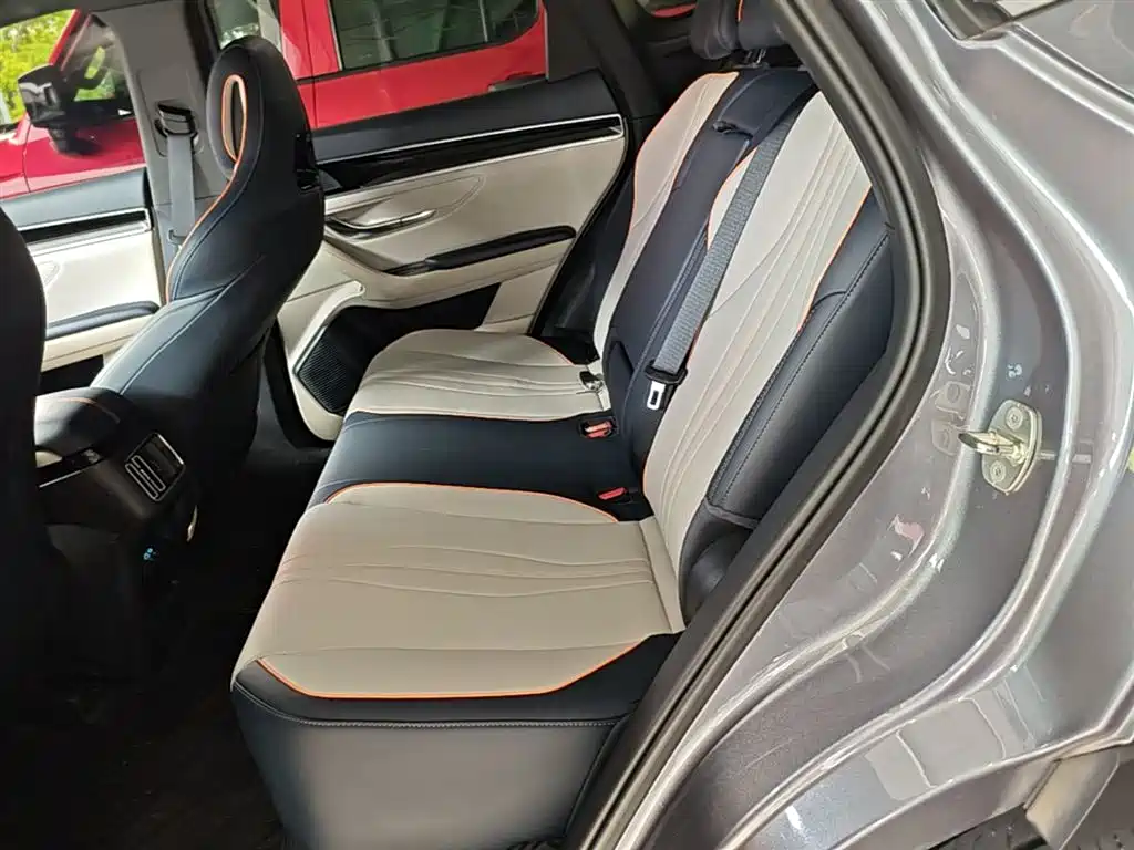BYD PLUS New Energy 2024 — фото 17