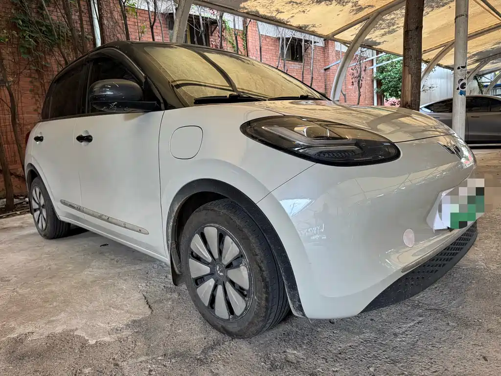 Wuling Bingo 2024