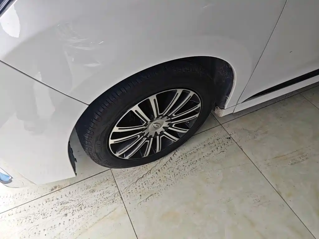 GAC Trumpchi M8 2021 — фото 25