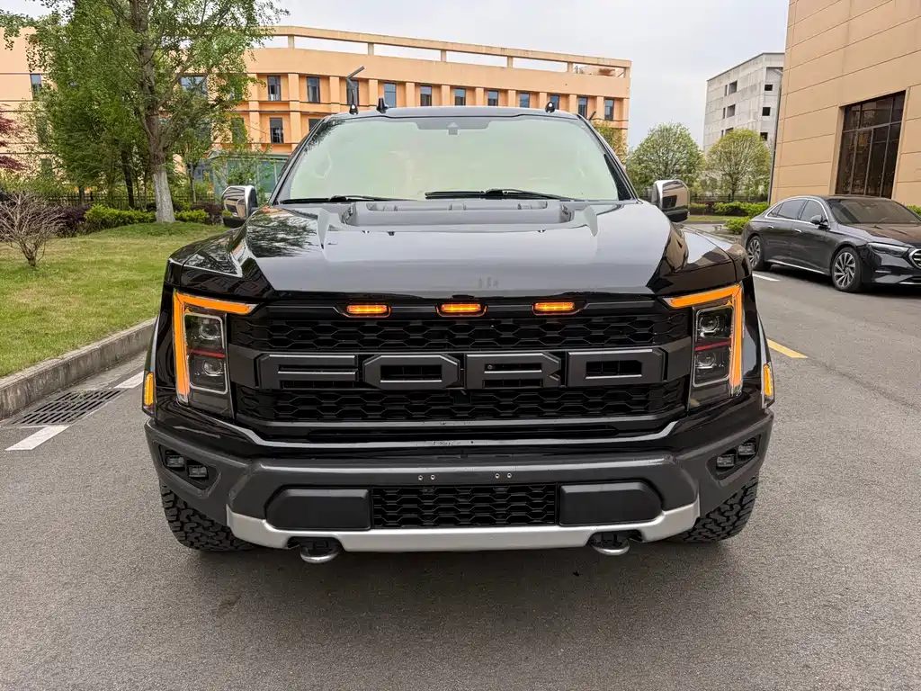 Ford F-150 Raptor 2019 — фото 2