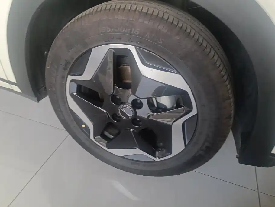 BYD Dolphin 2022