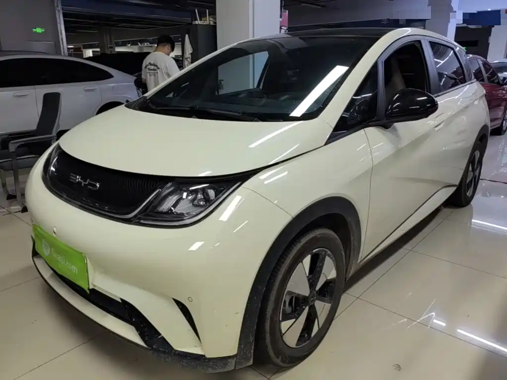 BYD Dolphin 2024