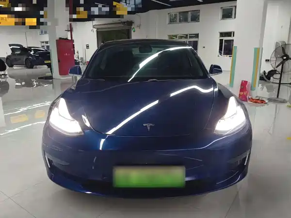 Tesla Model 3 2019