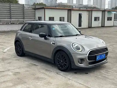MINI MINI 2020