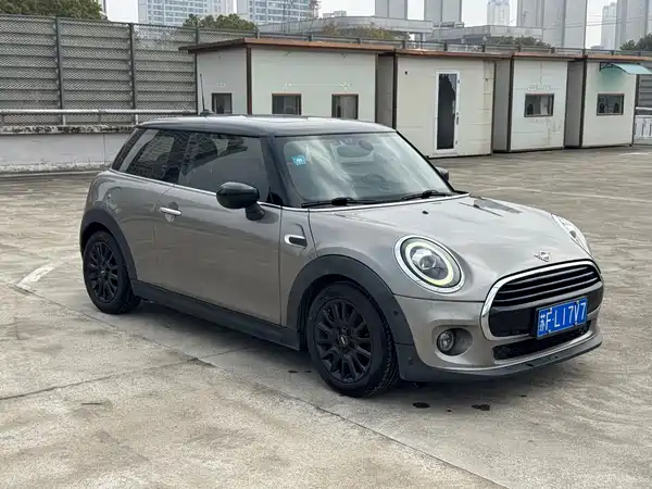 MINI MINI 2020