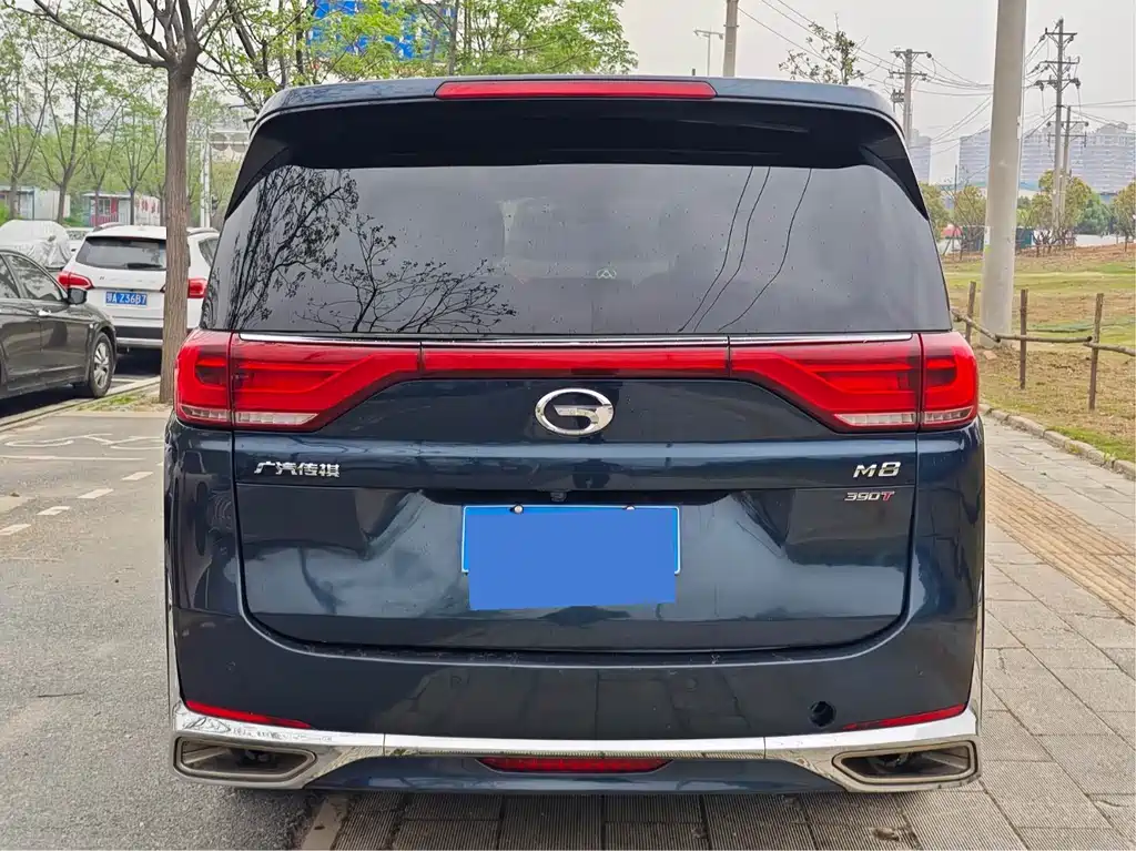 GAC Motor Trumpchi M8 2021 — фото 8