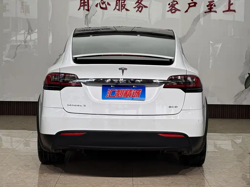 Tesla Model X 2016 — фото 5