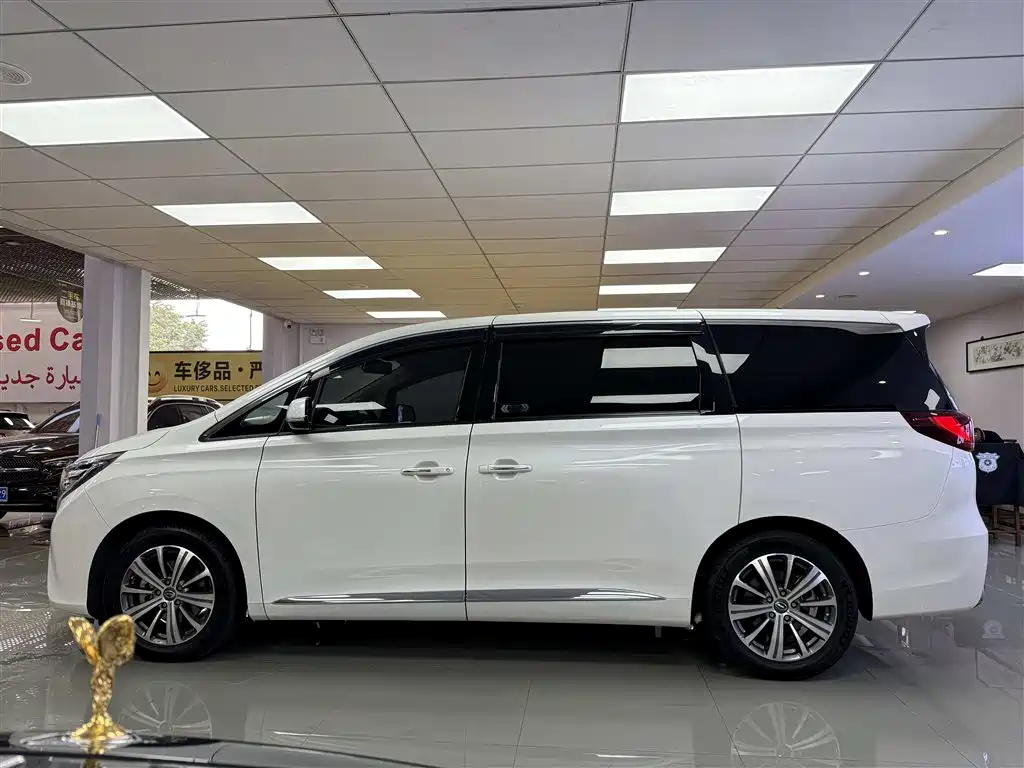 GAC Motor Trumpchi M8 2019 — фото 5