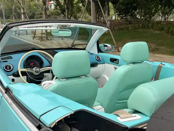 Volkswagen Beetle 2009
