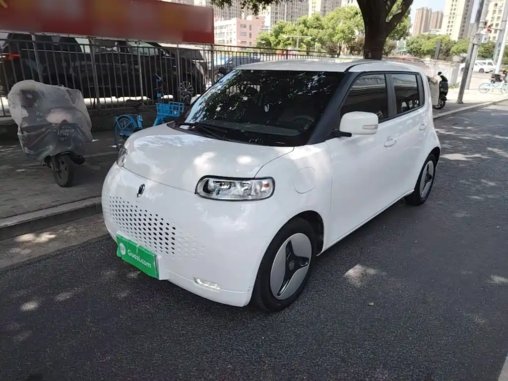 Ora White Cat 2020