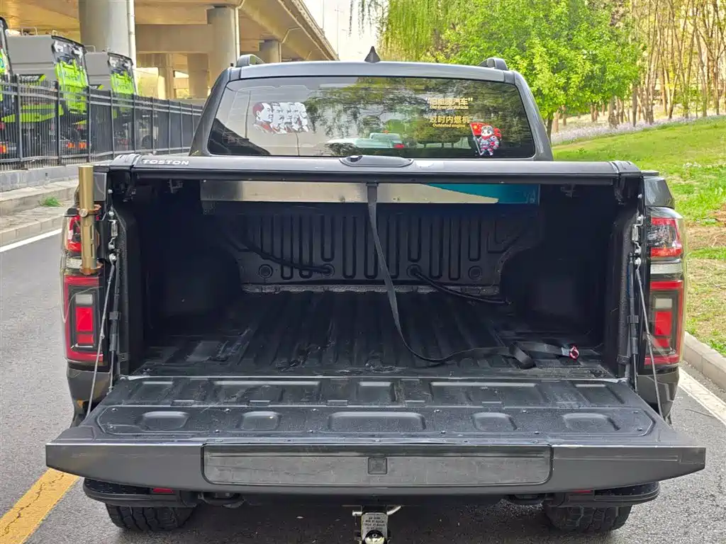 Great Wall Pao 2024 — фото 8