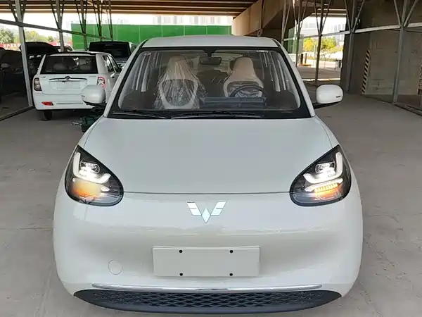 Wuling Bingo 2024