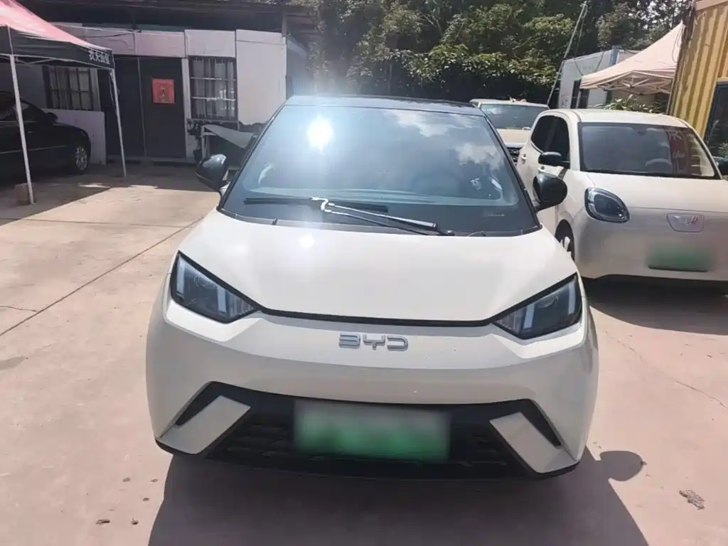 BYD Seagull 2024