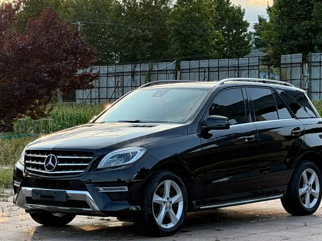 Mercedes-Benz M-Class 2014 — фото 1