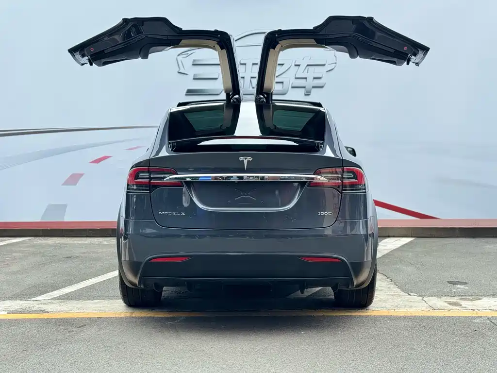 Tesla Model X 2019 — фото 7